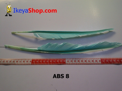 bulu angsa besar ABS 8   feather  large2